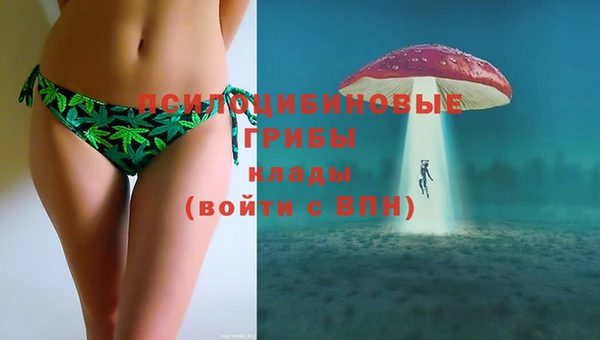 прущие крисы Армянск