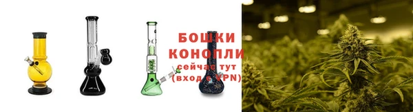 соль ск Аркадак