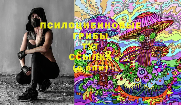 соль ск Аркадак